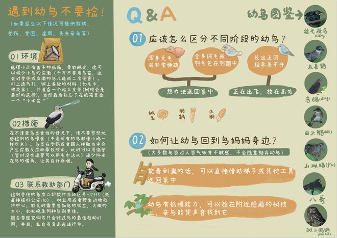 7777788888管家婆网一，精选解析解释落实