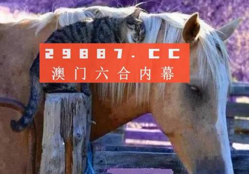 今晚一肖一码澳门一肖四不像，全面释义解释落实