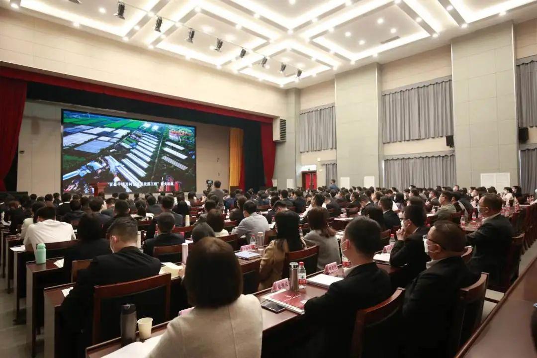 澳门2025年历史记录，全面释义解释落实