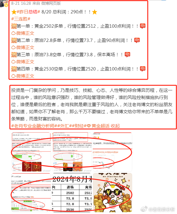 澳门管家婆精准预测，2025-2025年全面释义与落实展望