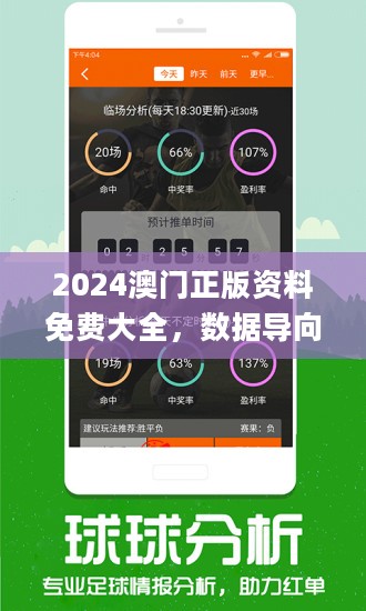 澳门管家婆100%精准2025，词语释义解释落实