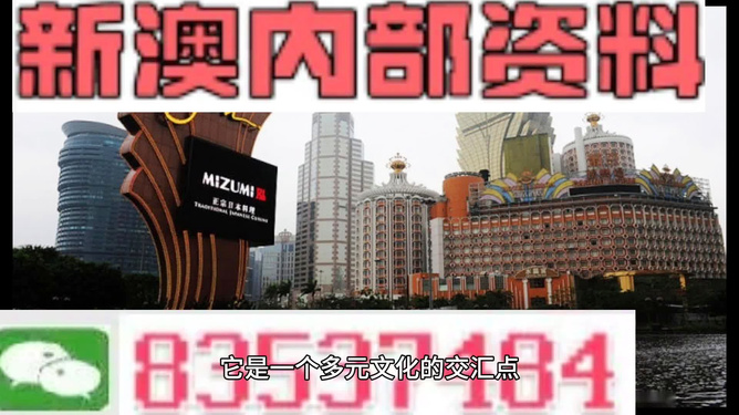 澳门内部资料精准大全，揭秘与解读