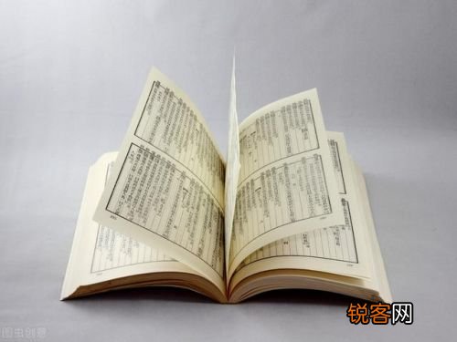 香港内部正版一肖中特，词语释义解释落实