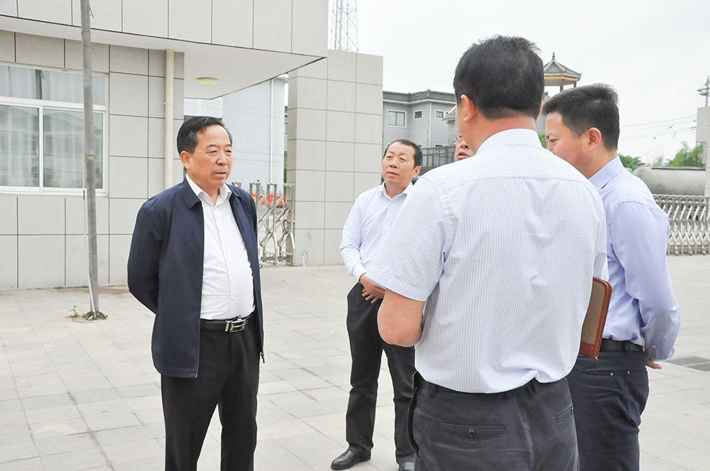 新闻 第37页