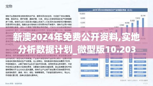新澳2025最精准正最精准;全面释义、解释与落实