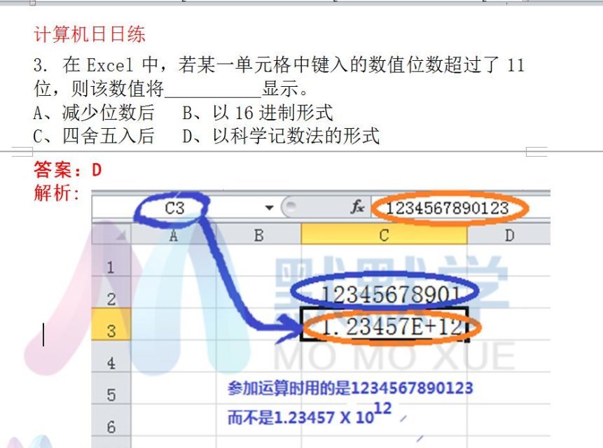 2025年新澳门天天开奖免费详细解答、解释与落实