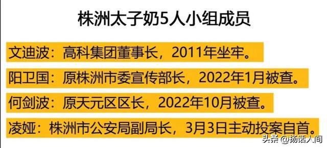 新澳2025最新资料大全挂牌;全面释义、解释与落实