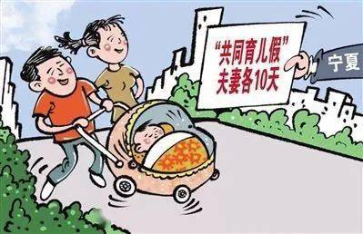 新奥彩精准免费提供,详细解答解释落实_的警惕虚假宣传