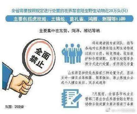 2025全年资料免费大全功能,详细解答解释落实_的警惕虚假宣传